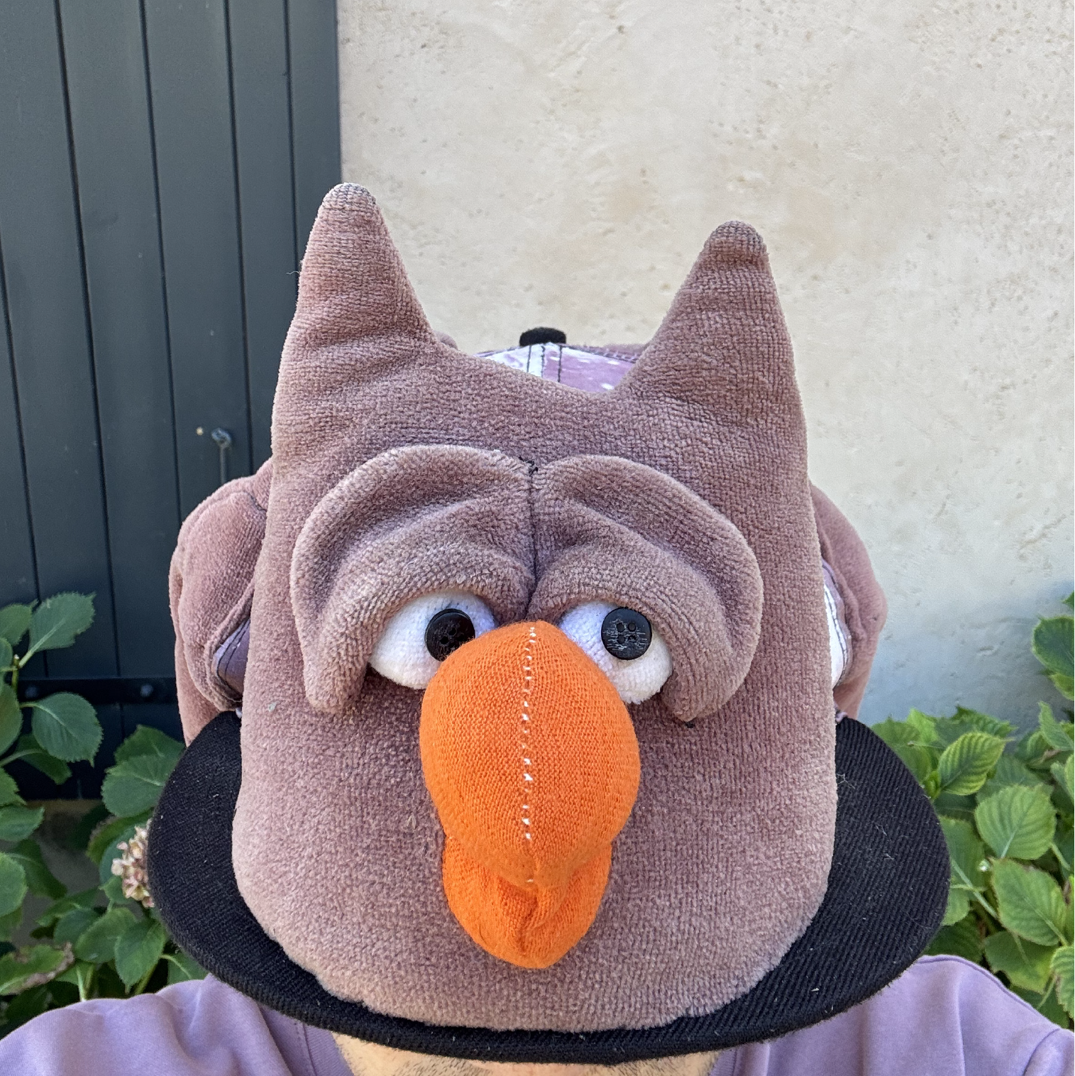 Casquette Peluche Hibou Éberlué 🦉