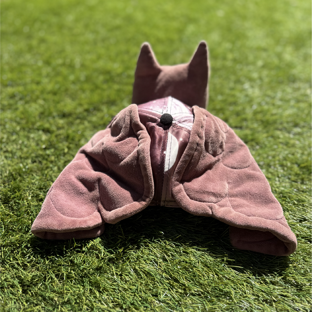 Casquette Peluche Hibou Éberlué 🦉