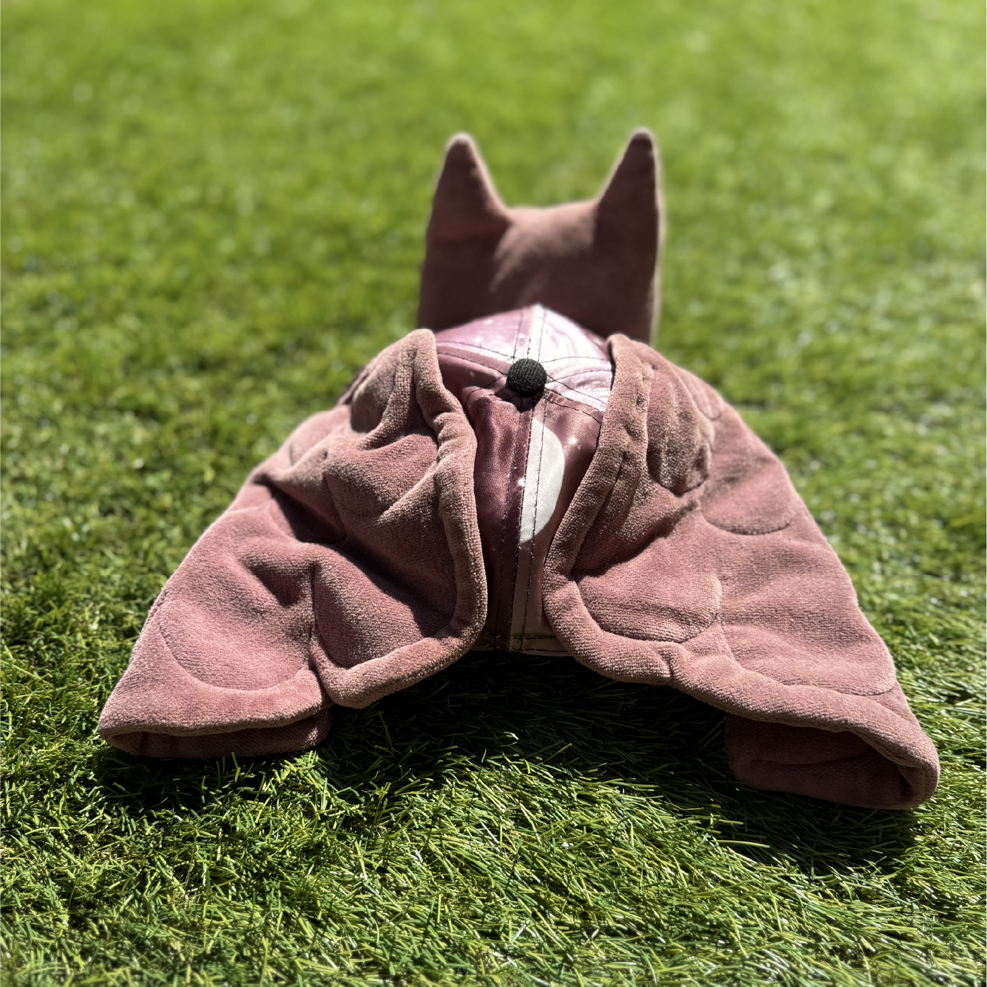 Casquette Peluche Hibou Éberlué 🦉