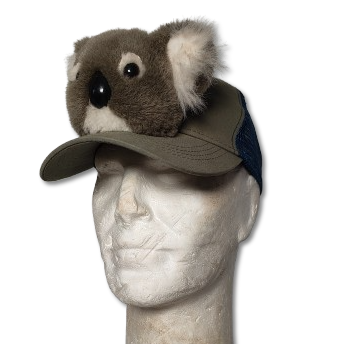 Casquette Koala