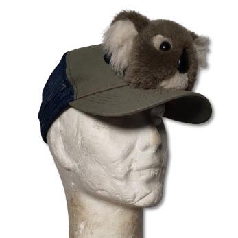 Casquette Koala