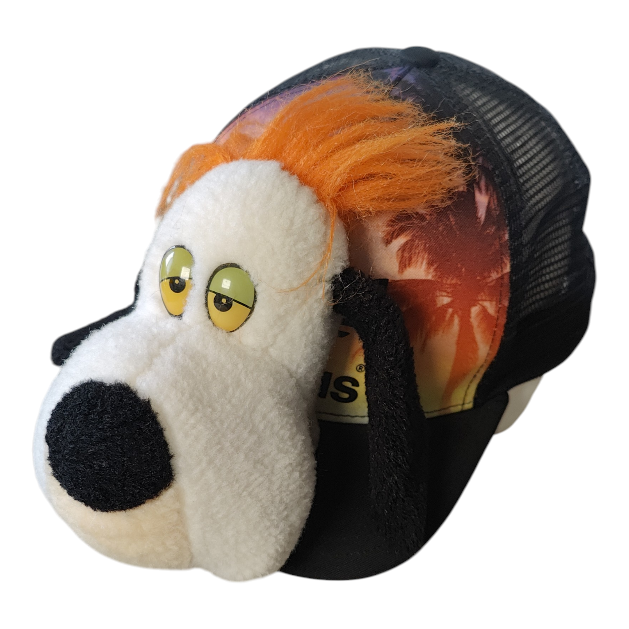 Casquette chien fatigué