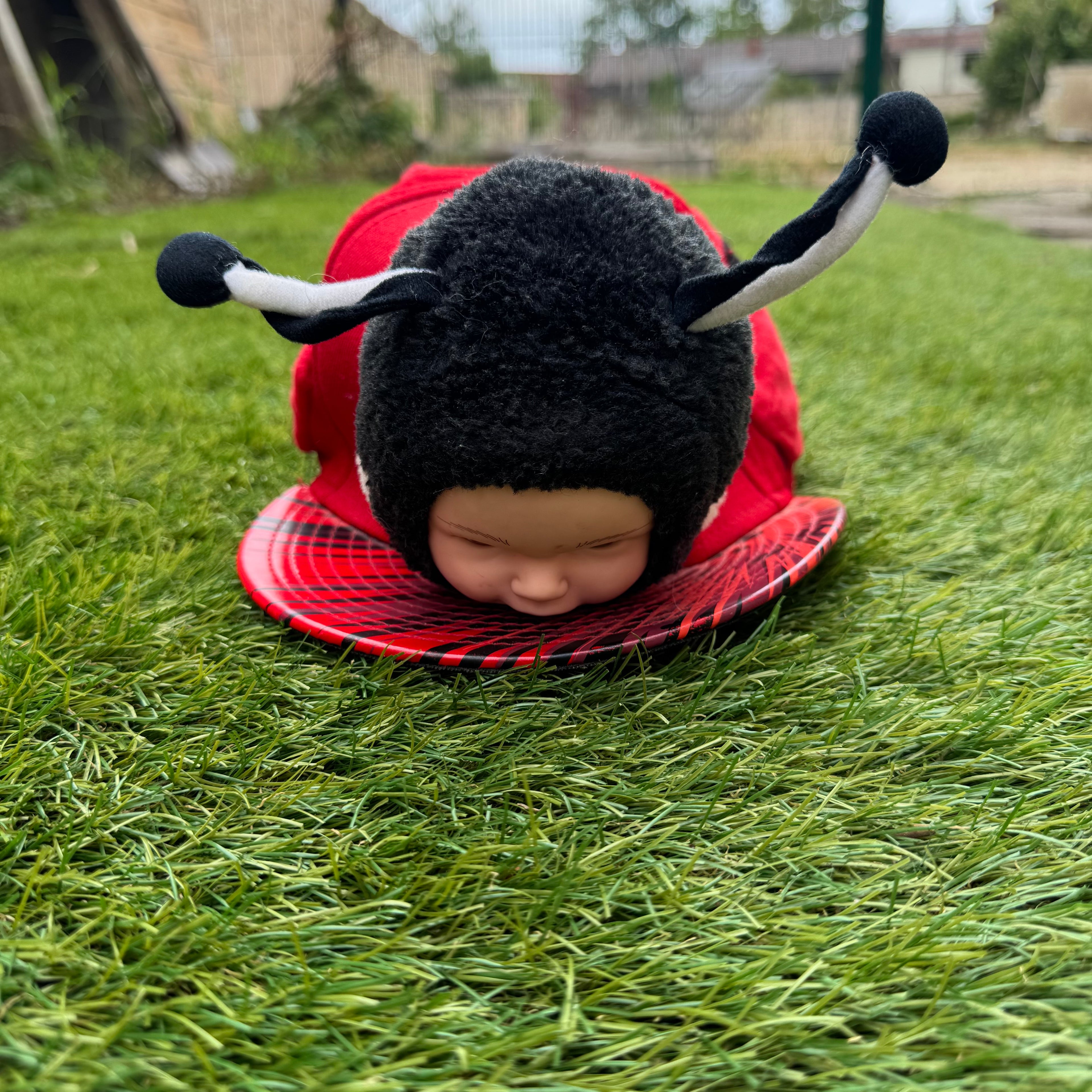 Casquette Peluche Bébé Coccinelle 🐞