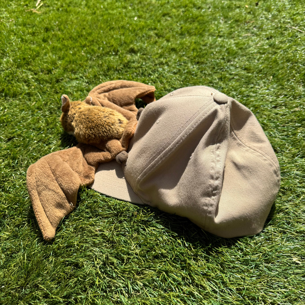 Casquette Peluche Chauve-Souris 🦇