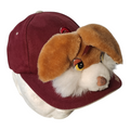 Casquette Renard